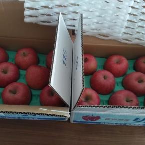 アークスより株主優待と「レンジでゆでたまご」