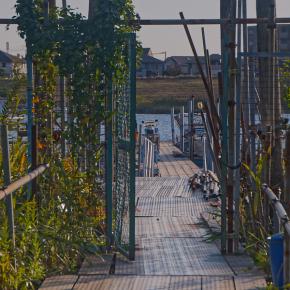 緑のゲートに誘われて