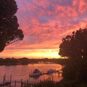 自然に癒される日々（〇〇〇出現❗️）