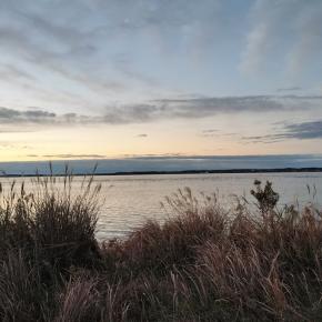 グレート霞ヶ浦フィッシングラリー！～霞ヶ浦のバス～