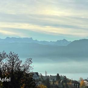 我が家で開いた夕食会