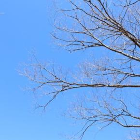 生活費を下げるために、やめてよかった当たり前の習慣