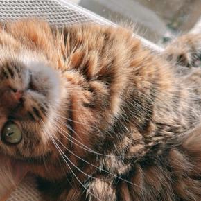 誰だって持っている権利