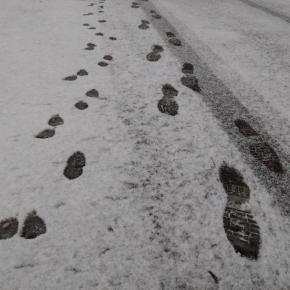 また雪～今日は成功と思ったけれど…