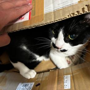 夫婦円満の秘訣、その1！