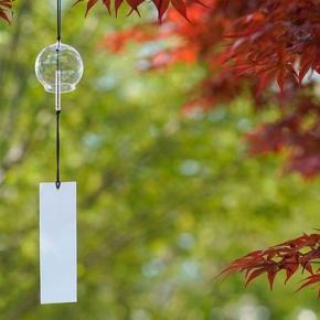 【派遣の健康】腎嚢胞と脳動脈瘤の意外な関係 派遣社員が重大健康リスクに挑む②