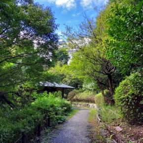 初秋のお散歩。