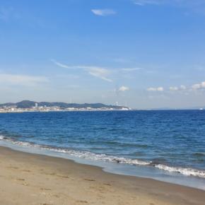 2024年、私が選ぶ今年のベストショット。