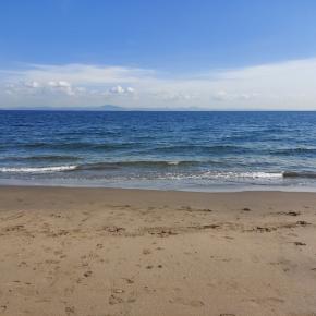 2025年、どんな夏になるのだろう？