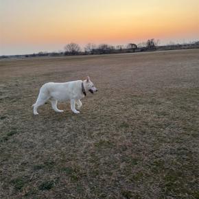 募集の男の子はみんな巣立ちました