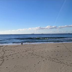 2023/12/02 多々戸浜