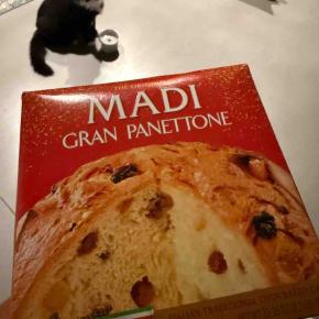 【ダイエットご飯日記】高カロリーなパネトーネついに開封・雨を家で満喫【1750kcal】