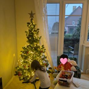 【チェコ生活】一気にクリスマス気分