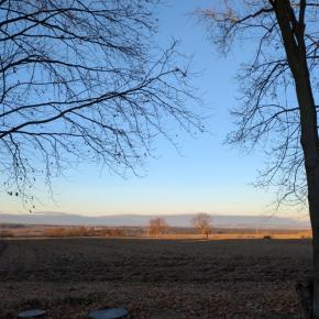 【チェコ生活】壊れたおもちゃの件、とりあえず解決