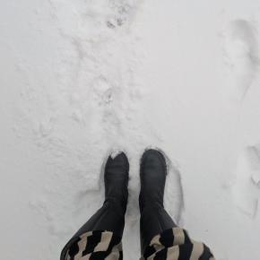 【チェコ生活】2026年明けましておめでとうございます