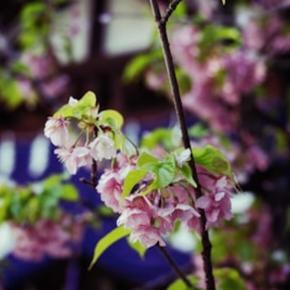 強運な人が毎日している行動5選！！