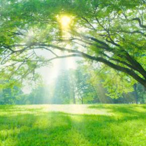 神様が見放さない人の特徴5選！！