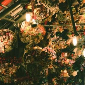 ブログ1,820記事突破！イルミネーションの季節！！【ブログ歴5年1ヶ月】