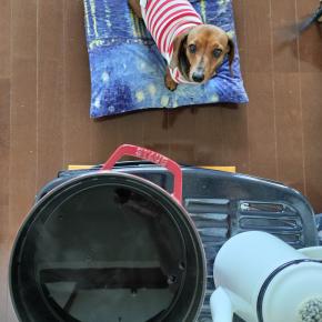 引きこもり2日目・よく働きました