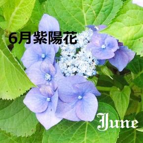 心配の種は湧いてくるばかり