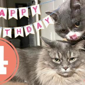 コロ＆さと 4歳になりました！