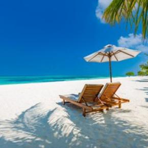 【ご報告】いま、私たちが全身全霊で取り組んでいること