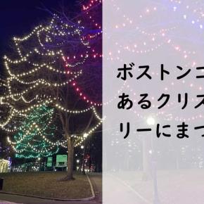 ボストンコモンのクリスマスツリー