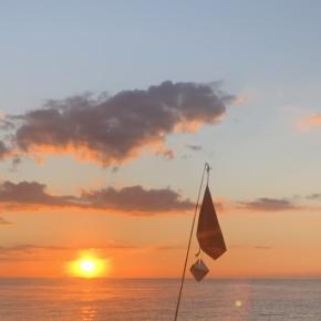 西湘 タイラバでサワラと真鯛 2025年12月6日