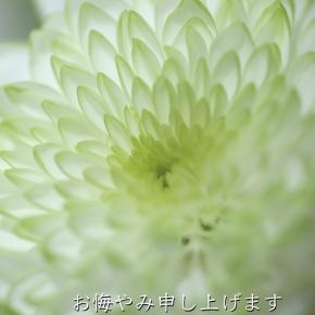 20代の若さのご主人が、ワクチン接種後3日目に生まれたばかりの我が子を残して亡くなったそうです。お写真の我が子を見られているご主人の笑顔が幸せそうで、言葉がありません。鵜川氏のTwitter記事より