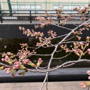 寺社巡り 元住吉〜矢上川