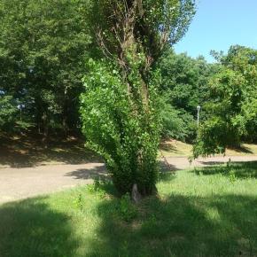 リーダーの役割り