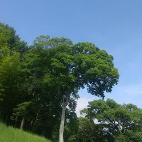 組織内で対話を