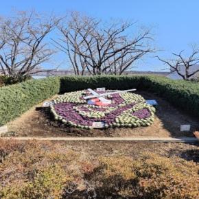 午年の花時計【左馬】