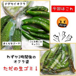 はた迷惑な貰い物、再び