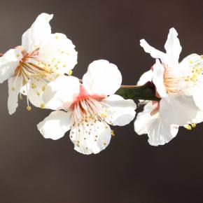 その173 ウクライナ戦争関連ニュースに感じたあれこれ