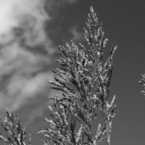 その248 たまらん！