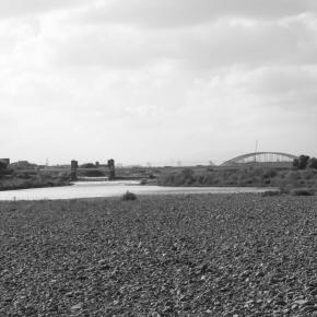 その255 多摩川散歩（13）