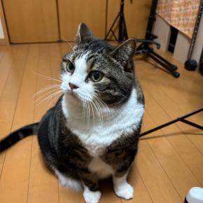 その他272（年末年始の過ごし方が難しい無職61歳）