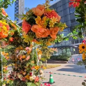 BT11 // 凍結胚移植からの判定日！