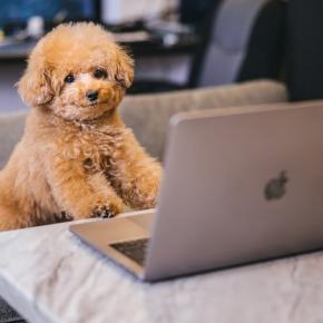 【迷い】マネーフォワードの特別費の管理方法