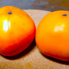 ご近所さん物々交換の行く末