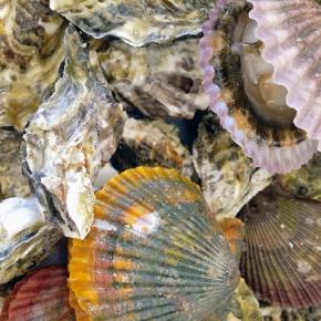 2026年、始まりました