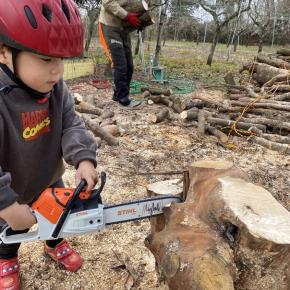 年末の薪活！園芸屋さんの雑木を頂きました