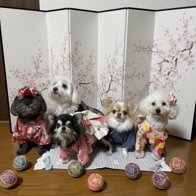 2026年明けましておめでとうございます