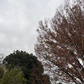 ★ANDYの62回目の月命日★