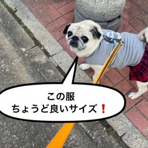 PayPayで！&5歳になりました