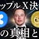 【リップル99%】X決済採用、とんでもないことになります！