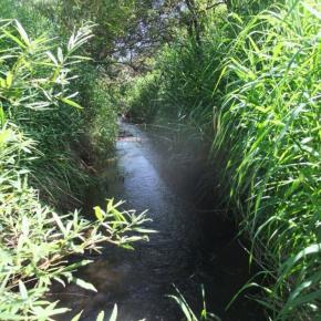 【渓流釣り】ある意味で秘境