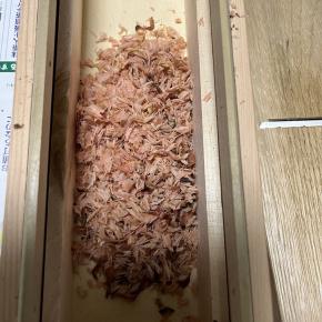 日々大切にしている事と映画「国宝」をみてきました