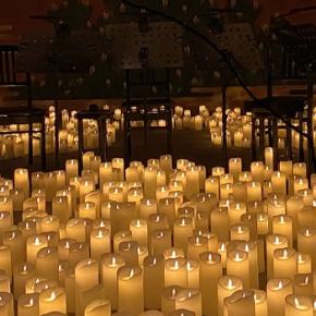 12月お出かけしたコンサート（まとめ）